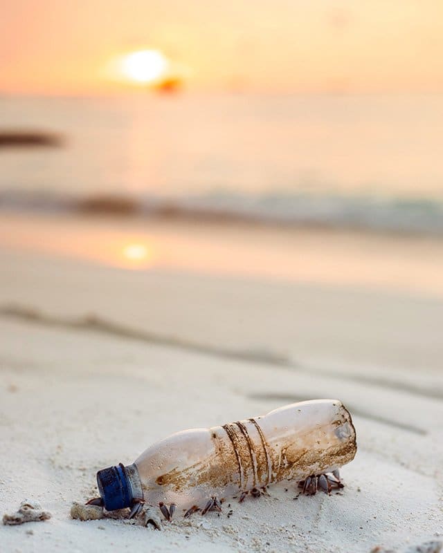 vida sustentable en yucatán