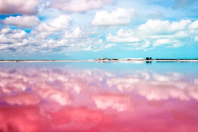 Las Coloradas Yucatán